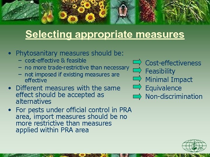 Selecting appropriate measures • Phytosanitary measures should be: – cost-effective & feasible – no