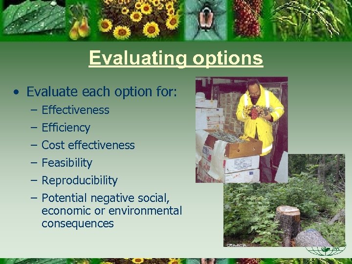 Evaluating options • Evaluate each option for: – – – Effectiveness Efficiency Cost effectiveness