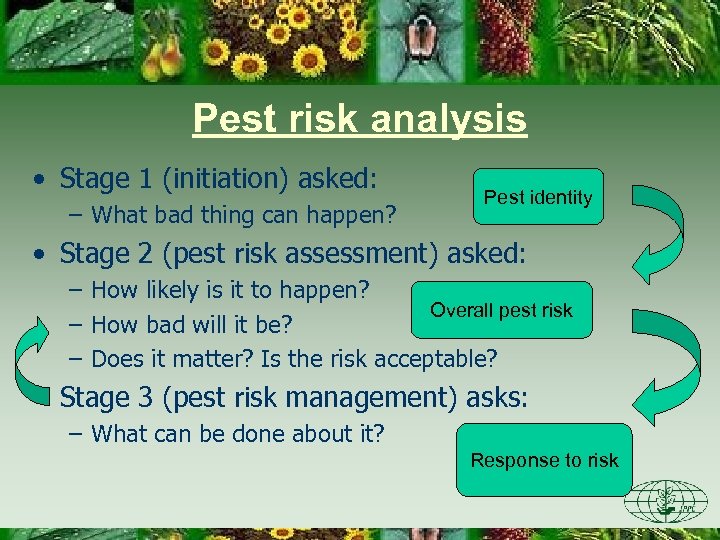 Pest risk analysis • Stage 1 (initiation) asked: – What bad thing can happen?