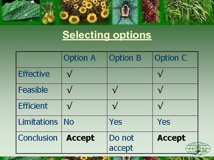 Selecting options Option A Option B Option C Effective √ √ Feasible √ √