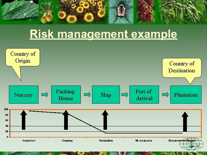 Risk management example Country of Origin Nursery Country of Destination Packing House Ship Port