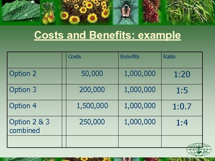 Costs and Benefits: example Costs Benefits Ratio Option 2 50, 000 1, 000 1: