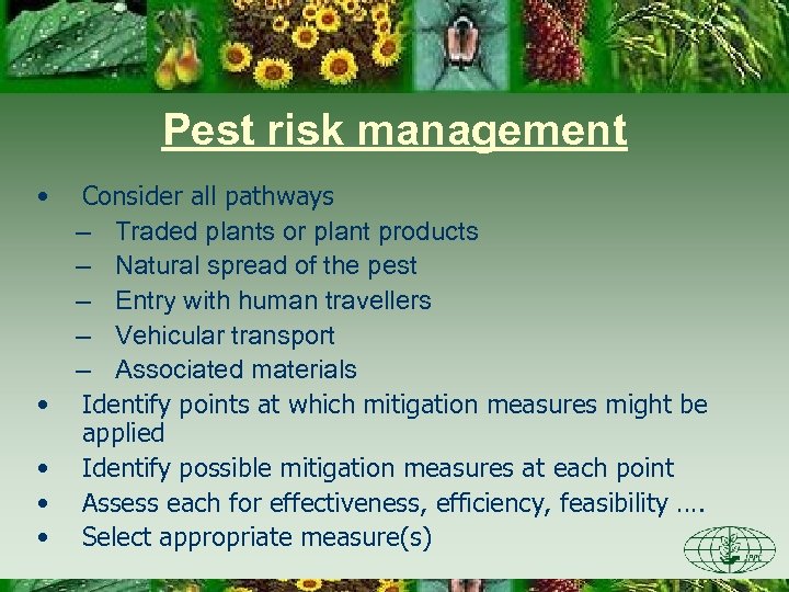 Pest risk management • • • Consider all pathways – Traded plants or plant