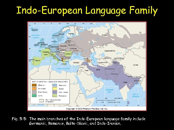 Indo-European Language Family Fig. 5 -5: The main branches of the Indo-European language family