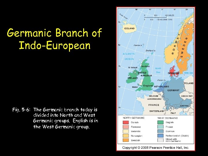 Germanic Branch of Indo-European Fig. 5 -6: The Germanic branch today is divided into