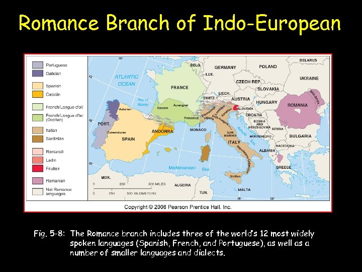 Romance Branch of Indo-European Fig. 5 -8: The Romance branch includes three of the