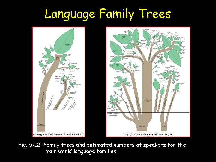 Language Family Trees Fig. 5 -12: Family trees and estimated numbers of speakers for