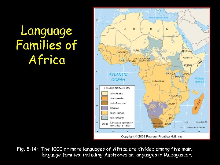 Language Families of Africa Fig. 5 -14: The 1000 or more languages of Africa