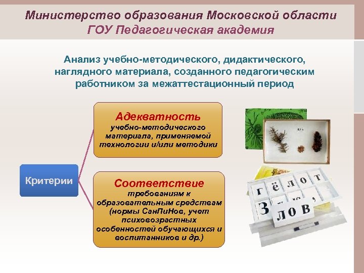 Министерство образования Московской области ГОУ Педагогическая академия Анализ учебно-методического, дидактического, наглядного материала, созданного педагогическим