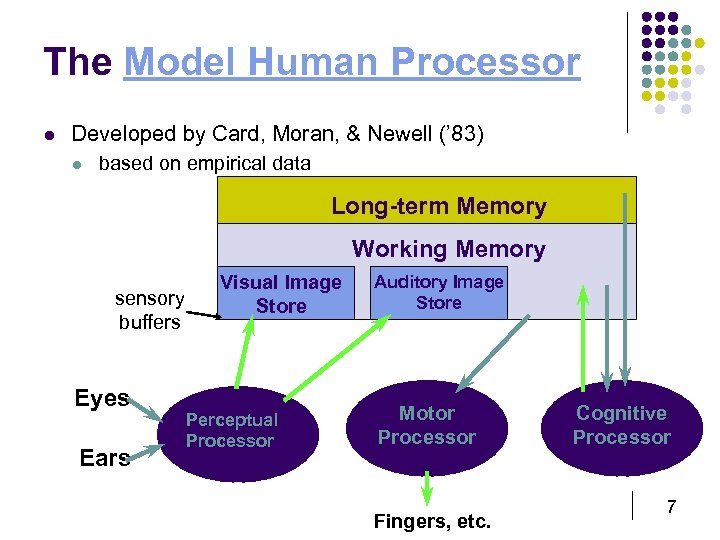 The Model Human Processor l Developed by Card, Moran, & Newell (’ 83) l