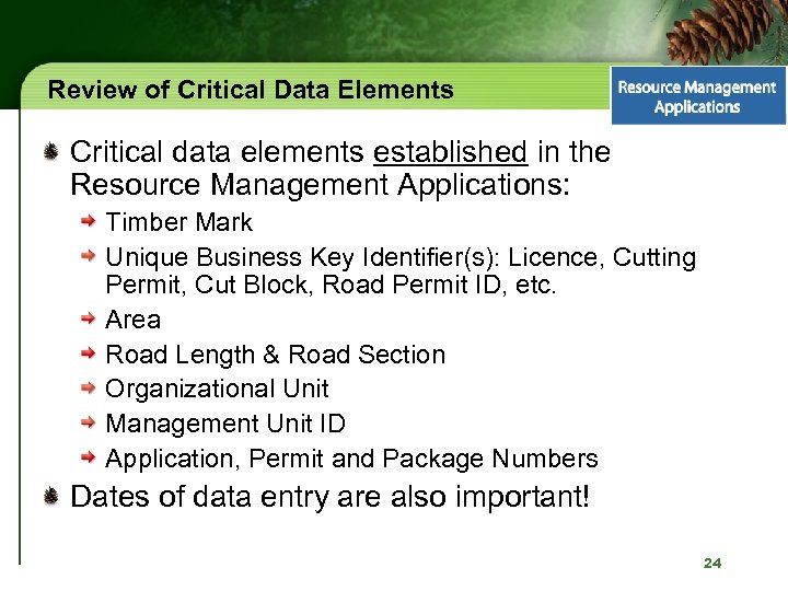 Review of Critical Data Elements Critical data elements established in the Resource Management Applications: