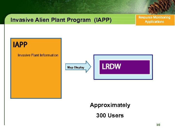 Invasive Alien Plant Program (IAPP) Map Display Approximately 300 Users 30 