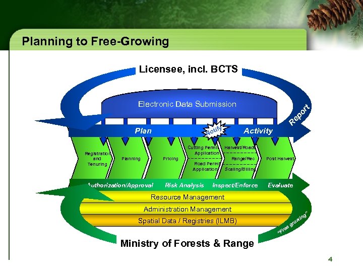 Planning to Free-Growing Electronic Data Submission tify No Plan Registration and Tenuring Cutting Permit