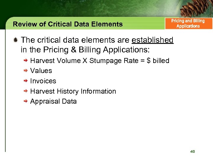 Review of Critical Data Elements The critical data elements are established in the Pricing