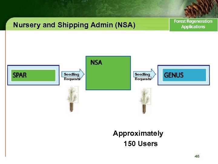 Nursery and Shipping Admin (NSA) Seedling Requests Approximately 150 Users 46 