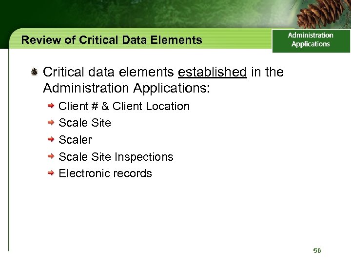 Review of Critical Data Elements Critical data elements established in the Administration Applications: Client