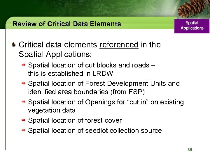 Review of Critical Data Elements Critical data elements referenced in the Spatial Applications: Spatial
