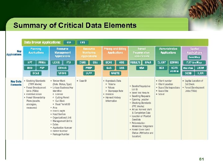 Summary of Critical Data Elements 61 