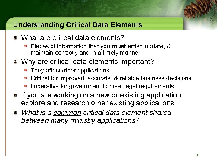 Understanding Critical Data Elements What are critical data elements? Pieces of information that you