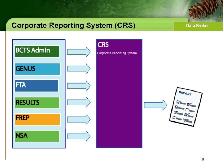 Corporate Reporting System (CRS) 9 