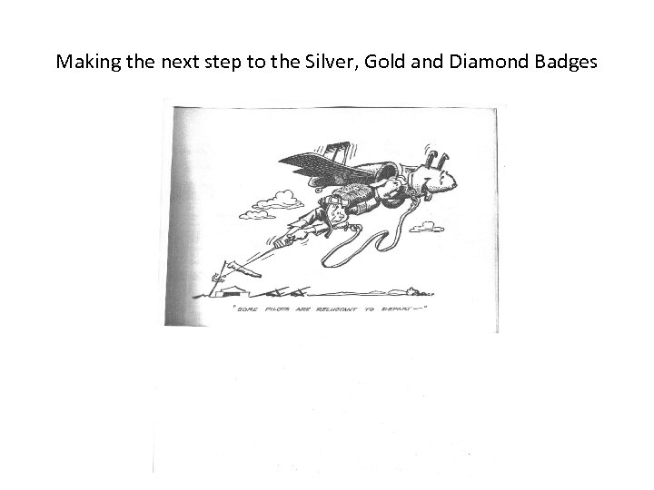 Making the next step to the Silver, Gold and Diamond Badges 