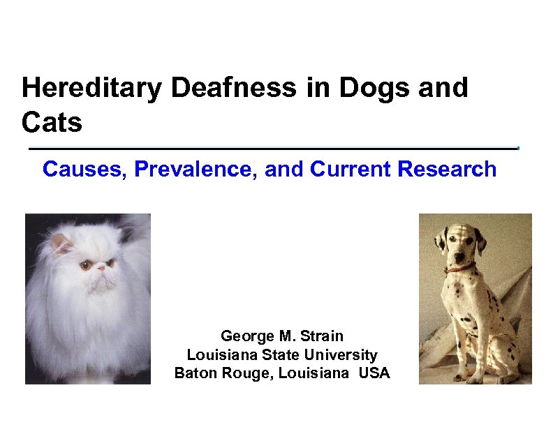 Hereditary Deafness in Dogs and Cats Causes, Prevalence, and Current Research George M. Strain