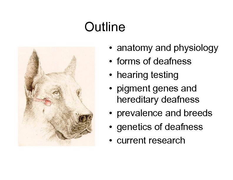 Outline • • anatomy and physiology forms of deafness hearing testing pigment genes and