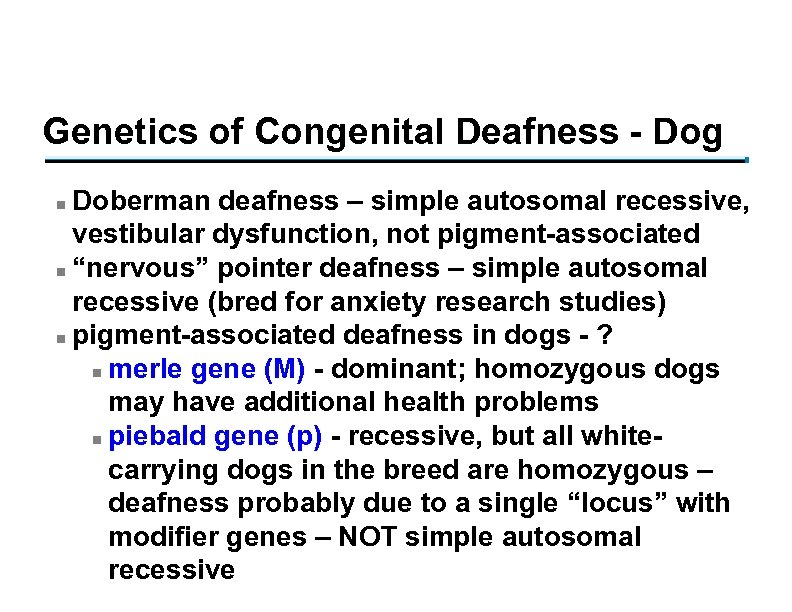 Genetics of Congenital Deafness - Dog Doberman deafness – simple autosomal recessive, vestibular dysfunction,