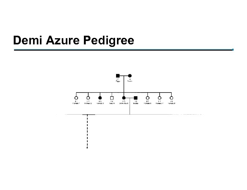 Demi Azure Pedigree 6 (5) 12 (11) 