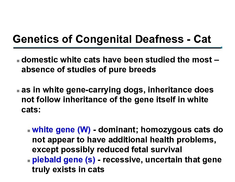 Genetics of Congenital Deafness - Cat n n domestic white cats have been studied