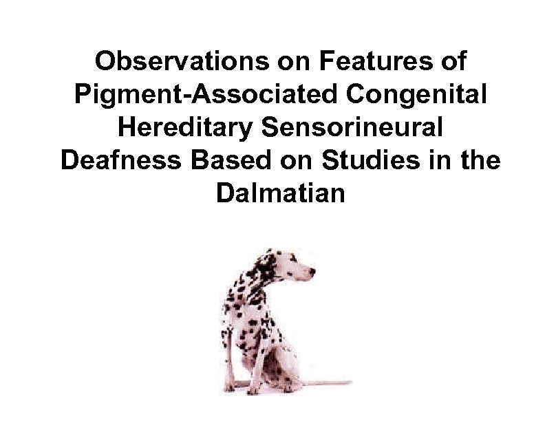 Observations on Features of Pigment-Associated Congenital Hereditary Sensorineural Deafness Based on Studies in the