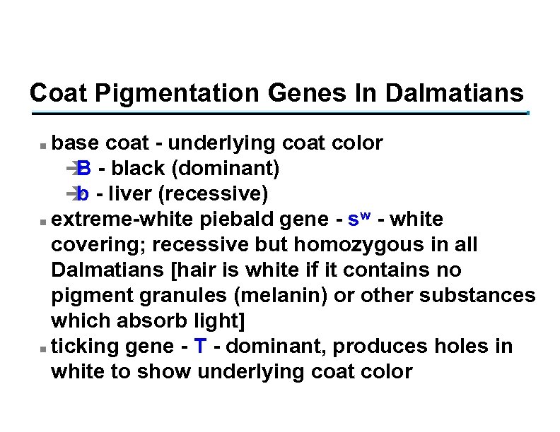 Coat Pigmentation Genes In Dalmatians base coat - underlying coat color è - black