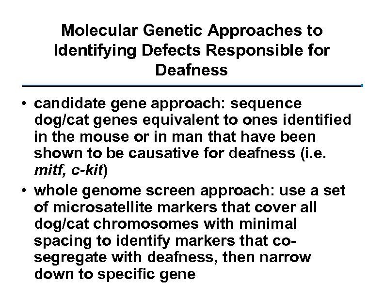 Molecular Genetic Approaches to Identifying Defects Responsible for Deafness • candidate gene approach: sequence