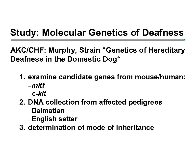 Study: Molecular Genetics of Deafness AKC/CHF: Murphy, Strain 