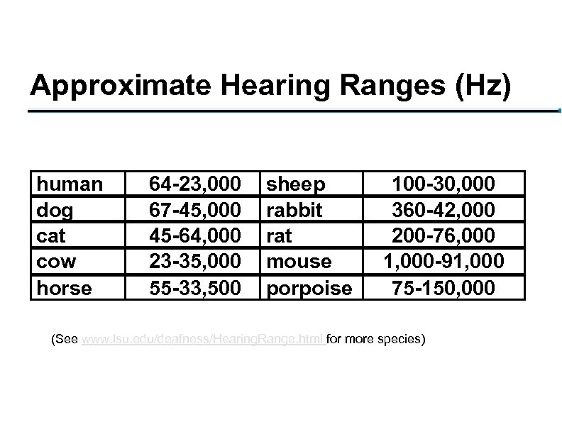 Approximate Hearing Ranges (Hz) human dog cat cow horse 64 -23, 000 67 -45,