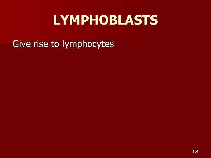 LYMPHOBLASTS Give rise to lymphocytes 104 