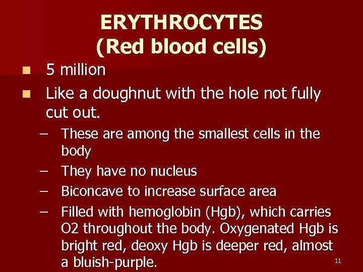 ERYTHROCYTES (Red blood cells) 5 million n Like a doughnut with the hole not