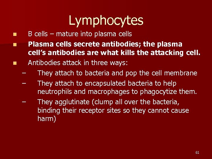 Lymphocytes B cells – mature into plasma cells n Plasma cells secrete antibodies; the