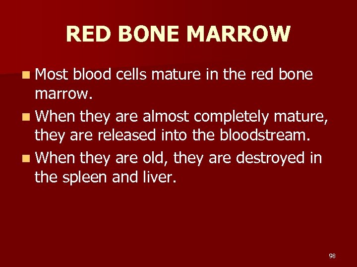 RED BONE MARROW n Most blood cells mature in the red bone marrow. n