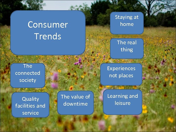 Consumer Trends The connected society Quality facilities and service Staying at home The real