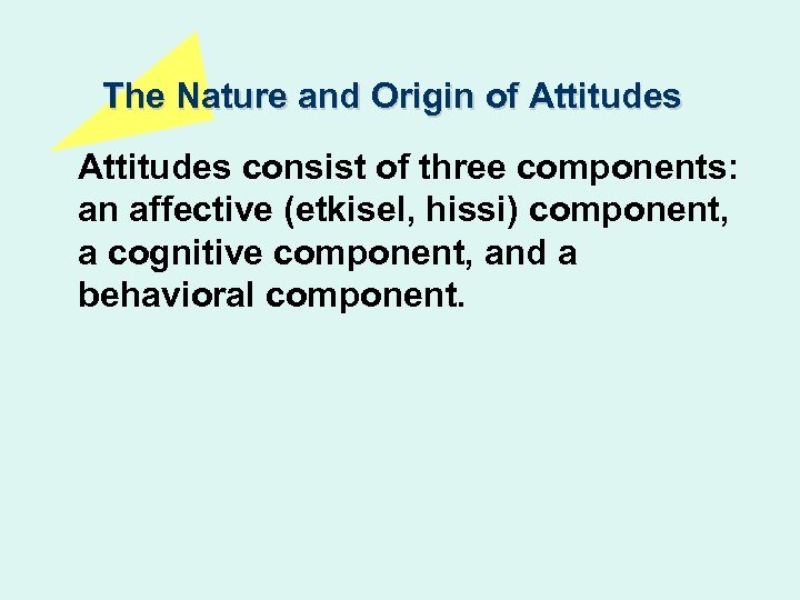 The Nature and Origin of Attitudes consist of three components: an affective (etkisel, hissi)