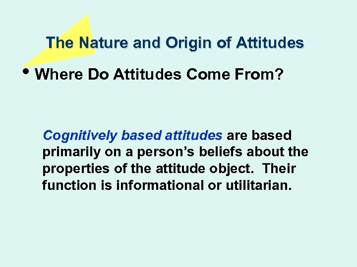 The Nature and Origin of Attitudes • Where Do Attitudes Come From? Cognitively based