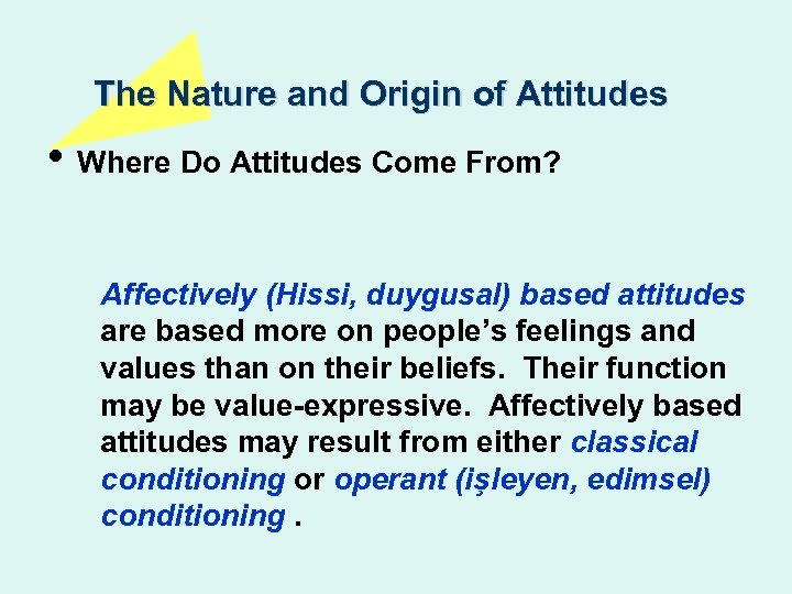 The Nature and Origin of Attitudes • Where Do Attitudes Come From? Affectively (Hissi,