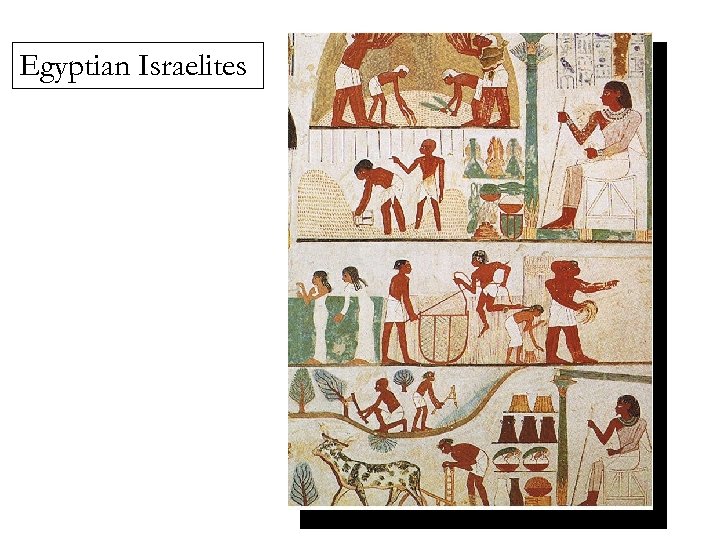 Egyptian Israelites 