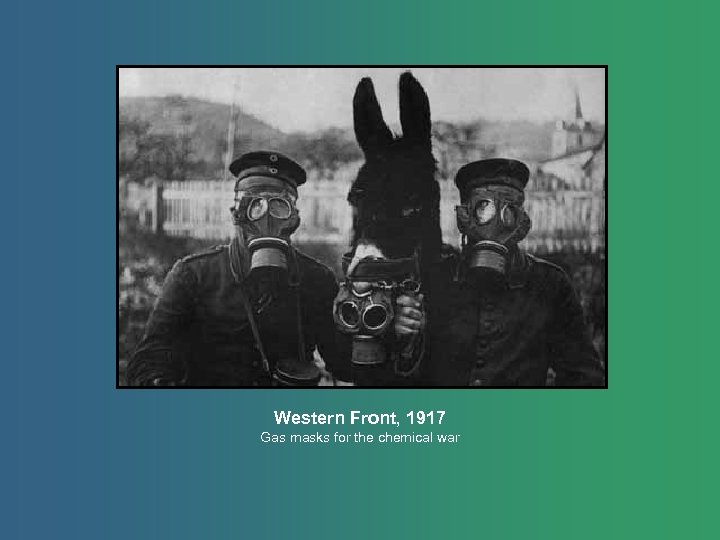 Western Front, 1917 Gas masks for the chemical war 