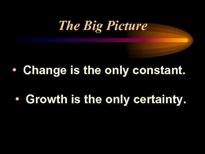 The Big Picture • Change is the only constant. • Growth is the only