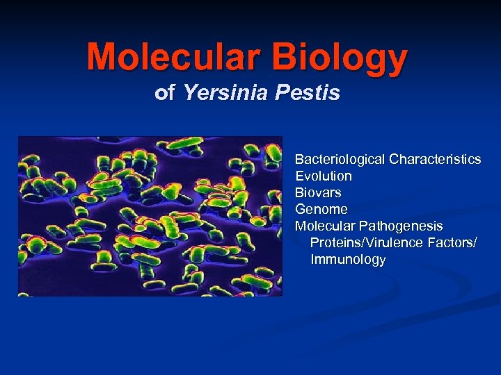 Molecular Biology of Yersinia Pestis Bacteriological Characteristics Evolution Biovars Genome Molecular Pathogenesis Proteins/Virulence Factors/