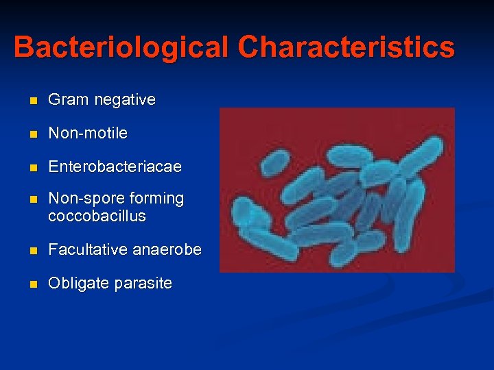 Bacteriological Characteristics n Gram negative n Non-motile n Enterobacteriacae n Non-spore forming coccobacillus n