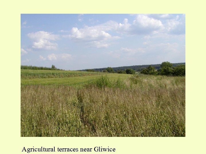 Agricultural terraces near Gliwice 