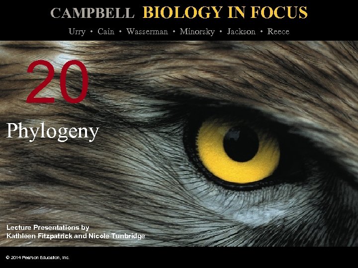 CAMPBELL BIOLOGY IN FOCUS Urry • Cain • Wasserman • Minorsky • Jackson •